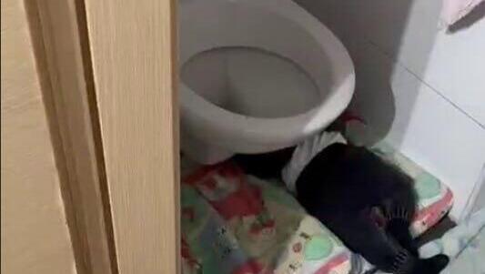 תיעוד מתוך הגן בירושלים