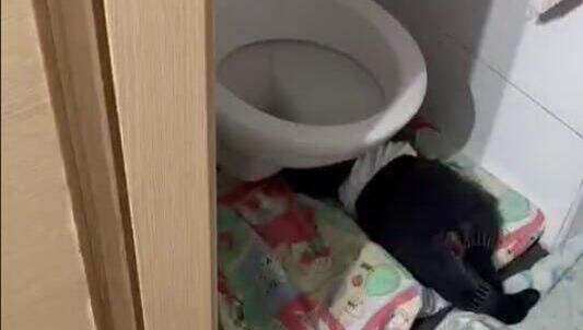 המשטרה: יש אינדיקציה שתינוקות ישנו מתחת לאסלה