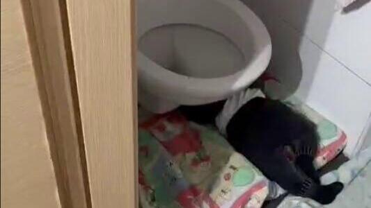 תיעוד מתוך הגן בירושלים