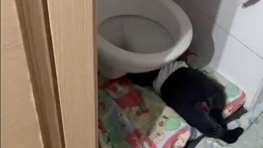 תיעוד מתוך הגן בירושלים