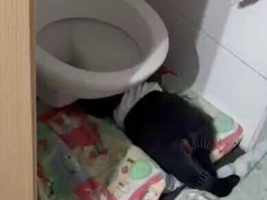 תיעוד מתוך הגן בירושלים