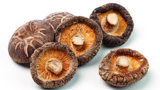 פטריית השיטאקה