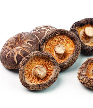 פטריית השיטאקה