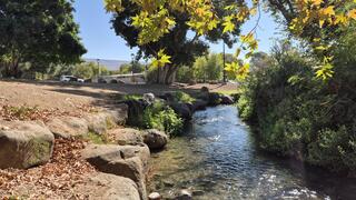 דפנה. טבע אמיתי בלב הקיבוץ