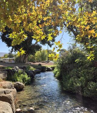דפנה. טבע אמיתי בלב הקיבוץ