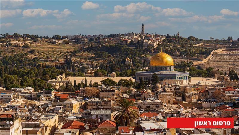 בדיקות לייבל פלאפל