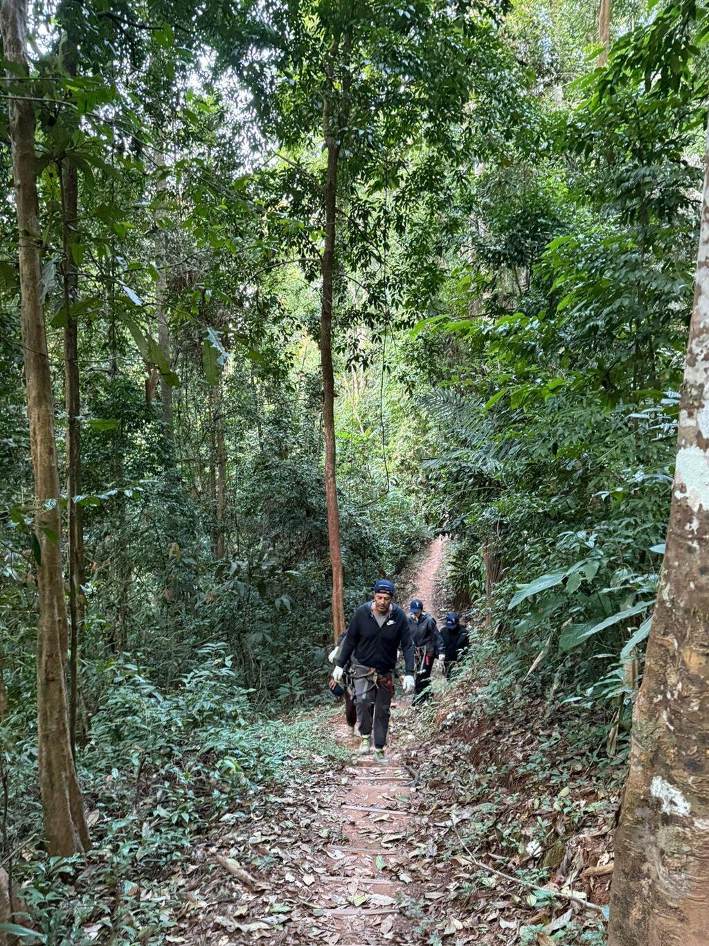 Photo: Assaf Kamar הליכה ביער בין זיפ לזיפ