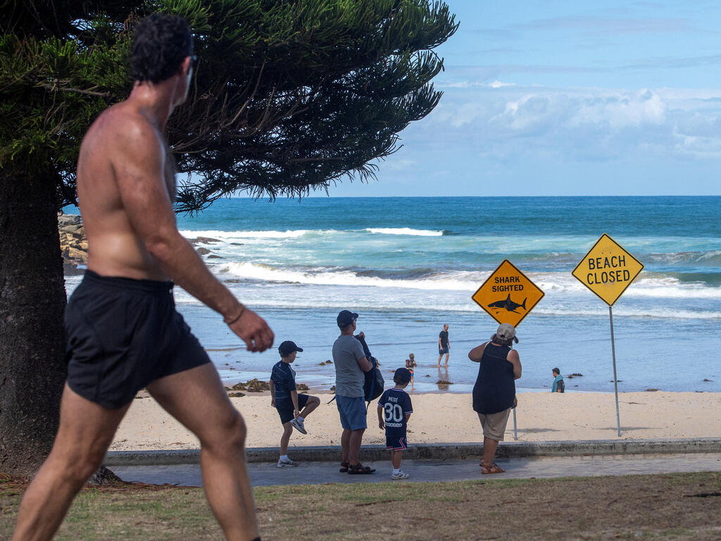 אוסטרליה חוף סגור סידני בגלל תקיפות כרישים כריש
