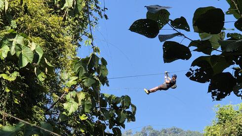 על אומגה מעל הג'ונגל