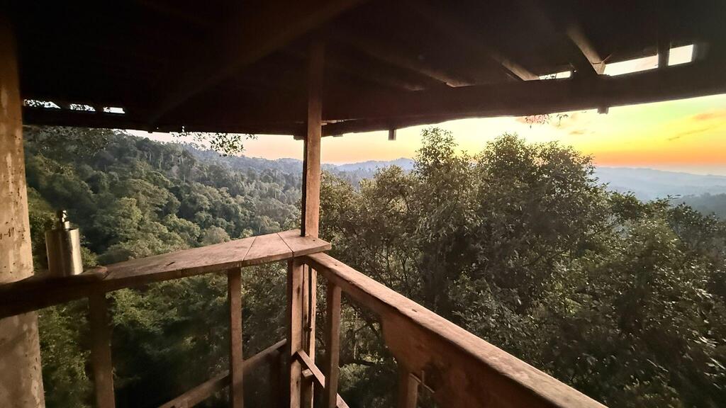 The view from the treehouse (Photo: Assaf Kamar) שקיעה מהשירותים בבית העץ