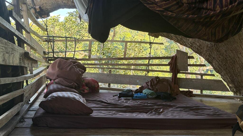 Mosquito net to keep out mice (Photo: Assaf Kamar) כילה נגד עכברים