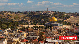 בדיקות פלאלפל אירה 2