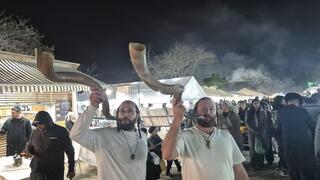 שופרות בהילולה