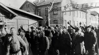 ניצולי מחנה הריכוז וההשמדה אושוויץ עוברים בשעריו עם שחרורו, פברואר 1945