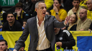 מכבי ת"א עודד קטש פנאתינייקוס