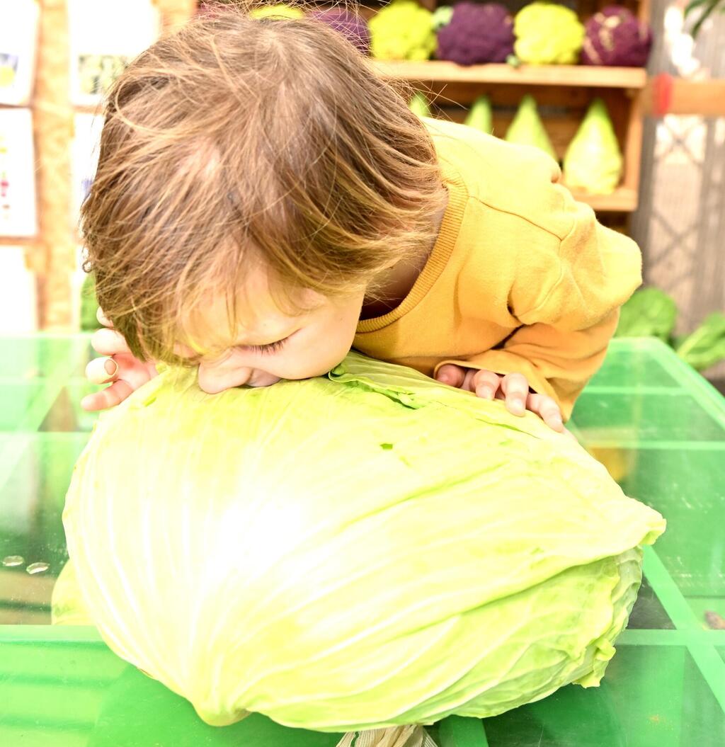  The Agriculture Festival in the Central Arava