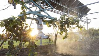 הכרם החכם בפעולה