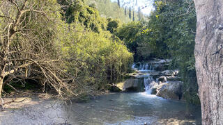 מפלונים בנחל השופט