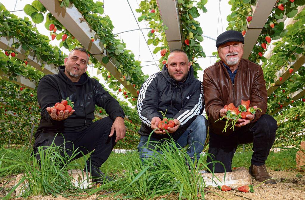 Tair Kader, Tarek Abu-Safaqa and Samir Moadi (Photo: Shaul Golan) "זה מיזם לטווח ארוך". מימין: סמיר מועדי, טארק אבו־ספאקה ותאיר קאדר | צילומים: שאול גולן