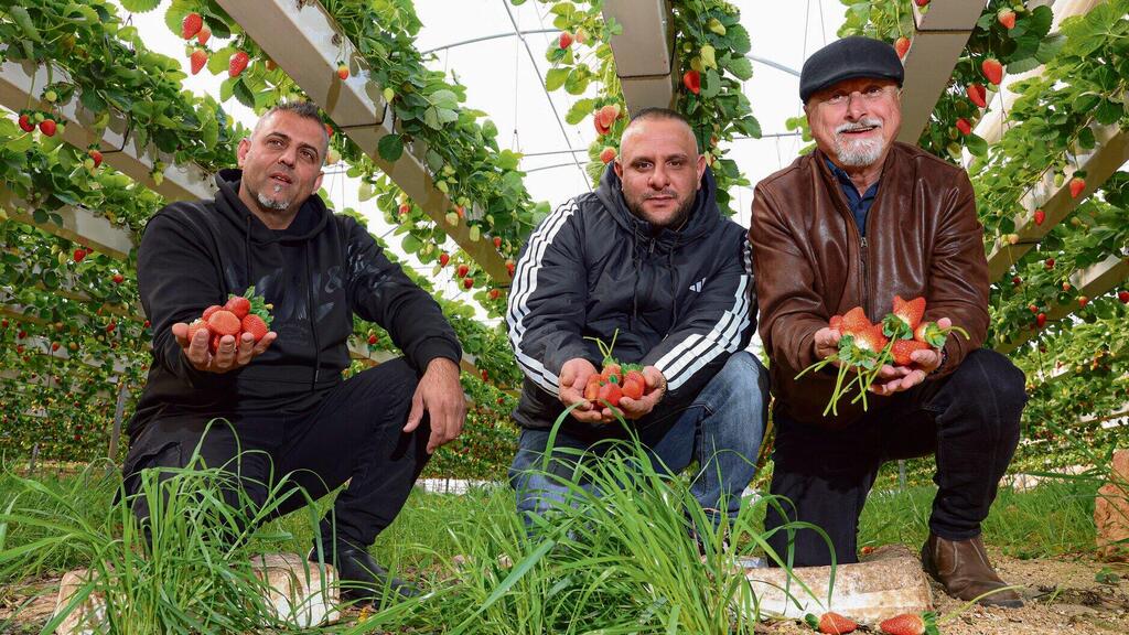 'This is a long-term project' From right: Tair Qader, Tarek Abu Safaka, Samir Moadi (Photo: Shaul Golan) "זה מיזם לטווח ארוך". מימין: סמיר מועדי, טארק אבו־ספאקה ותאיר קאדר | צילומים: שאול גולן
