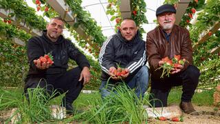 "זה מיזם לטווח ארוך". מימין: סמיר מועדי, טארק אבו־ספאקה ותאיר קאדר  | צילומים: שאול גולן