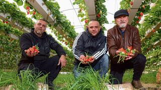 "זה מיזם לטווח ארוך". מימין: סמיר מועדי, טארק אבו־ספאקה ותאיר קאדר  | צילומים: שאול גולן