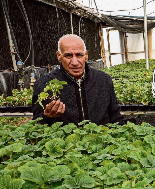 Abed al-Rahman (Photo: Shaul Golan) "איכות ובטיחות". עבד אלרחמן