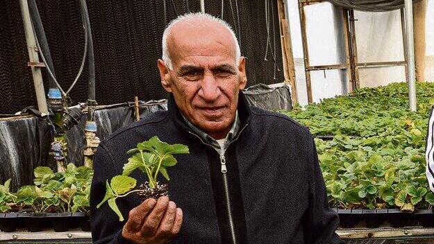 Abd al-Rahman (Photo: Shaul Golan) "איכות ובטיחות". עבד אלרחמן