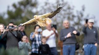 השחרור לטבע של הרחם עם הרגל התותבת