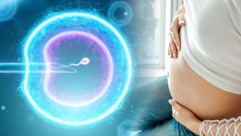 Фото: shutterstock