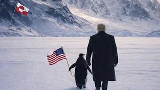 תמונת הבינה המלאכותית שעוררה סערה: הנשיא טראמפ הולך יד ביד עם פינגווין שאוחז בדגל ארצות הברית, ברקע הנוף המושלג ודגל גרינלנד