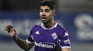 מנור סולומון