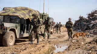 פעילות כוחות צה"ל במבצע "לב אמיץ"