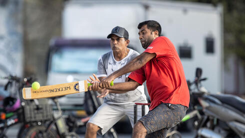 ווינר שוט דסקטופ קריקט