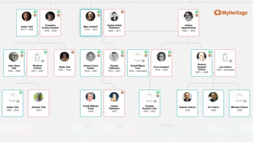 Adriana Turk’s family tree (Photo: MyHeritage DNA) העץ המשפחתי של אדריאנה טורק