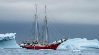 האלדוראדו עושה דרכה בין קרחונים כמו קודמותיה לפני מאה שנה