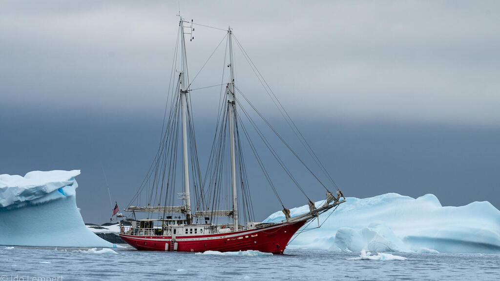 האלדוראדו עושה דרכה בין קרחונים כמו קודמותיה לפני מאה שנה