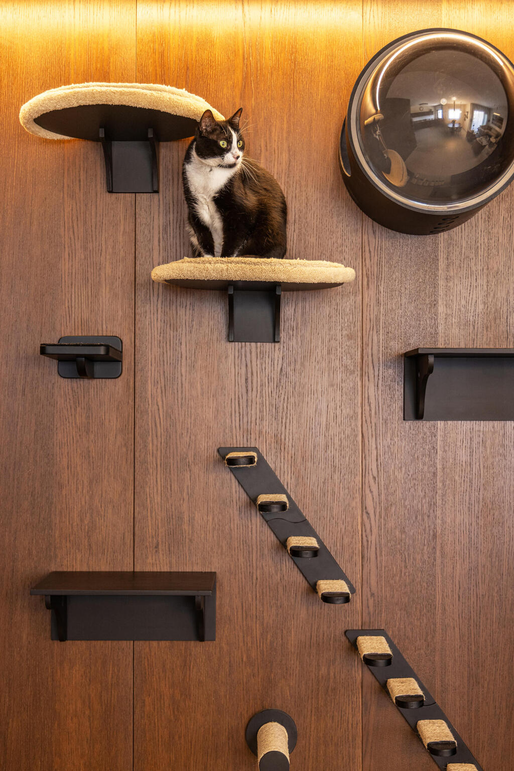 דירה לשוטר רווק, עיצוב: דותן ויסמין כהן