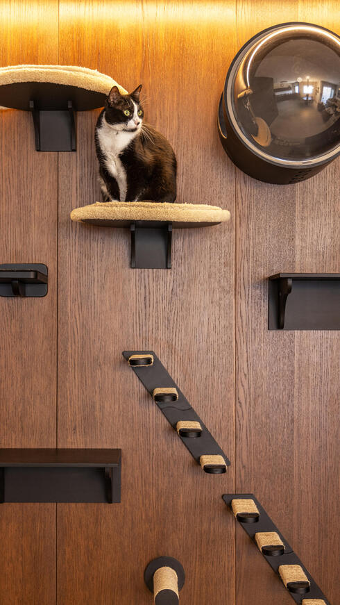 דירה לשוטר רווק, עיצוב: דותן ויסמין כהן