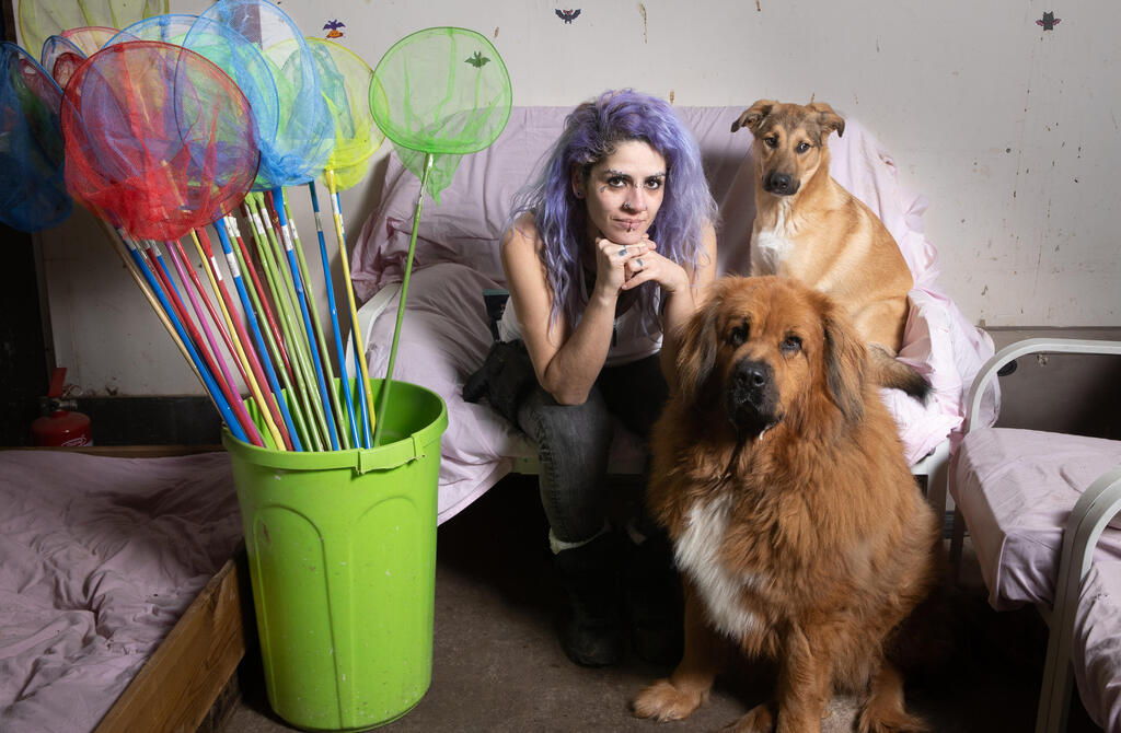 Нора и ее собаки (Фото: Алекс Коломойский) נורה ליפשיץ