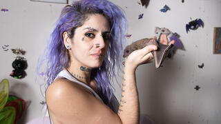 נורה ליפשיץ