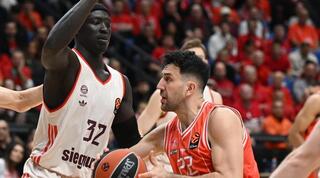 ואסילה מיציץ'