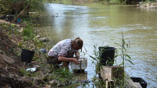 ניפוי הקרקע באתר גדות הירדן 