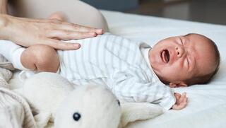 מי הכניס קלונקס למחית פירות? "כל הכיוונים נבדקים"