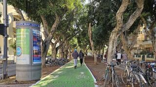 עצים בשדרות רוטשילד בתל אביב