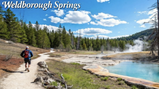 ״המעיינות החמים של וולדבורו״