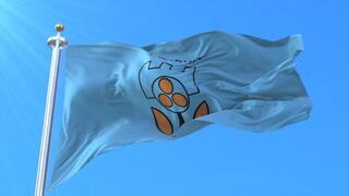 דגל עם סמל העיר קריית אונו