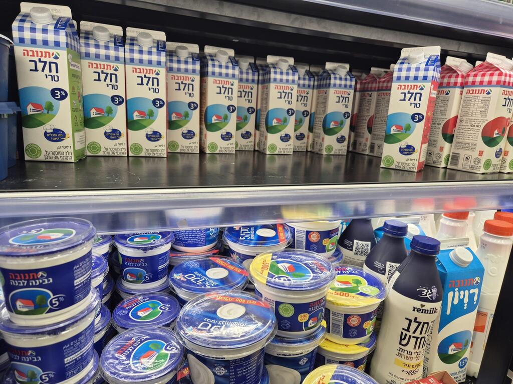 Молоко и молочные продукты в супермаркете (Фото: Мейрав Кристал) ברמי לוי בשכונה בת"א אין מחסור בחלב
