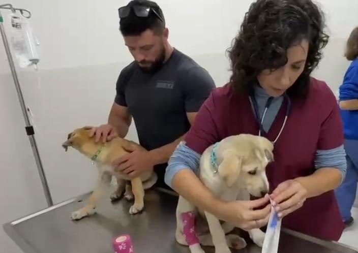 בדיקות אחרונות לפני הטיסה