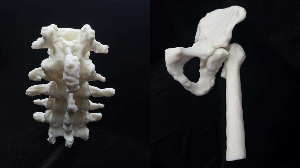 דגמי מודפסים  תלת-ממדיים של עמוד השדרה של כוהן הדת המצרי נס-מין (משמאל) ושל מפרק הירך של כוהן הדת המצרי נס-חור